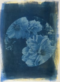 Image 2 of Flower Solarfast Prints (Cool Colors)