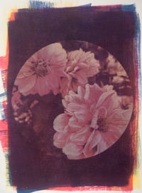 Image 1 of Flower Solarfast Prints (Warm Colors)