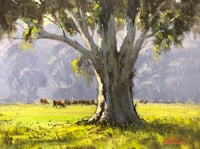 Image 1 of Early Light, Barrington