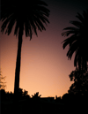 LA Sunset