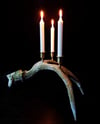 MOSSA moose antler candle holder