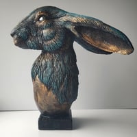 Lepus Timidus 