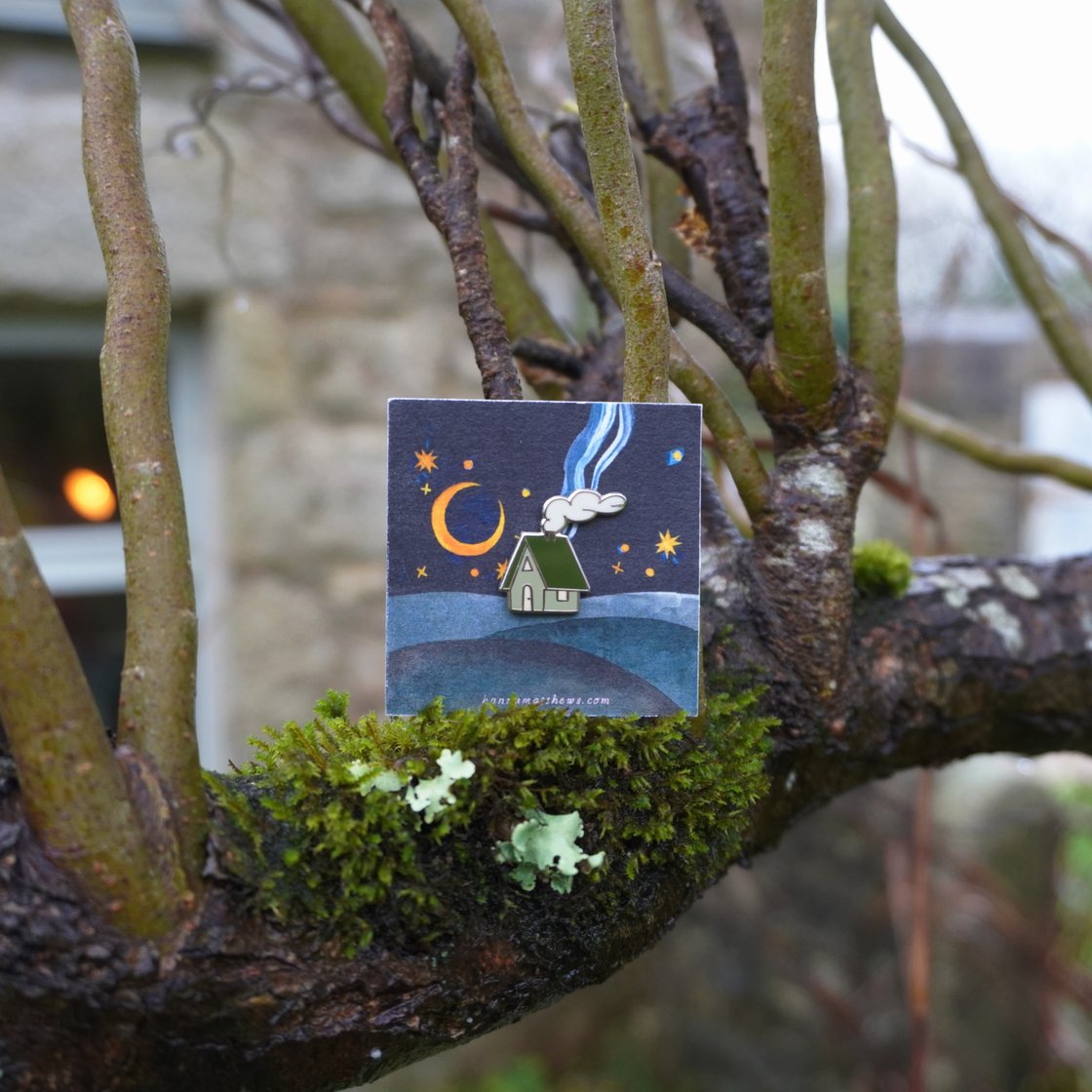 Image of little house pin badge
