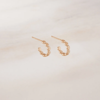 Image 3 of Glimmer Ray