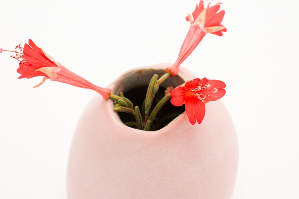 Image of pink bud vase (small)