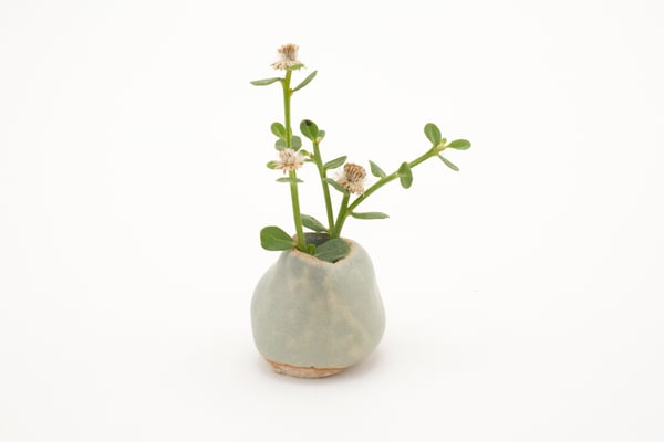 Image of pistachio bud vase (tiny)