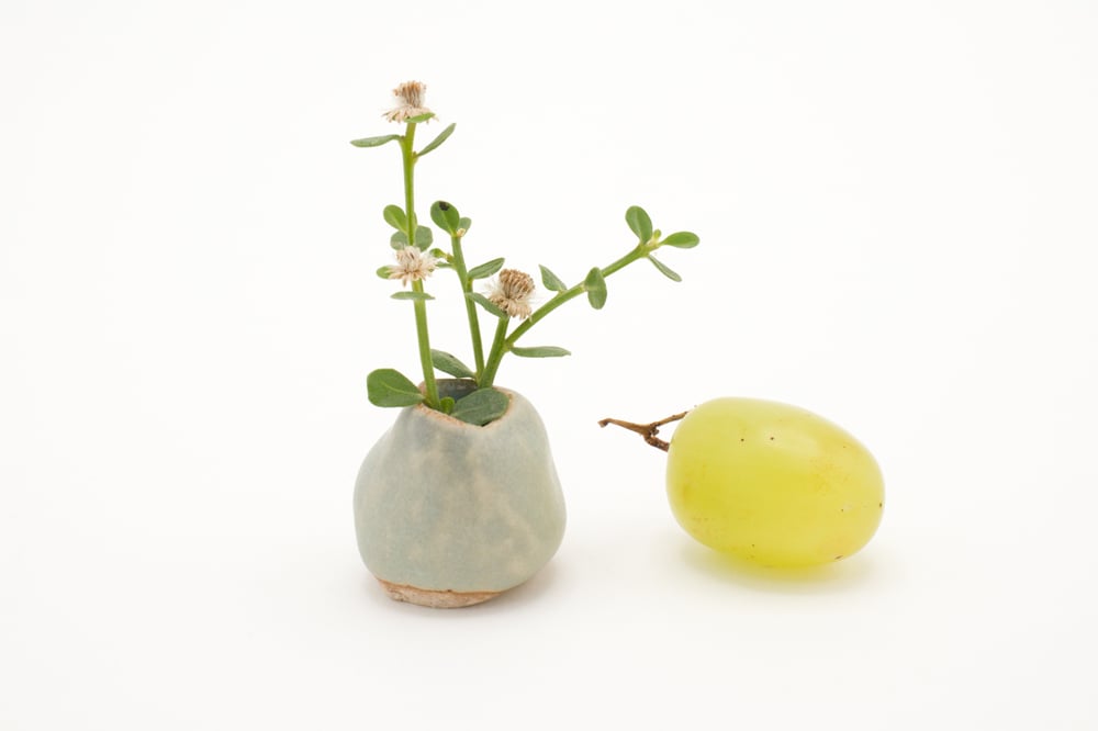 Image of pistachio bud vase (tiny)