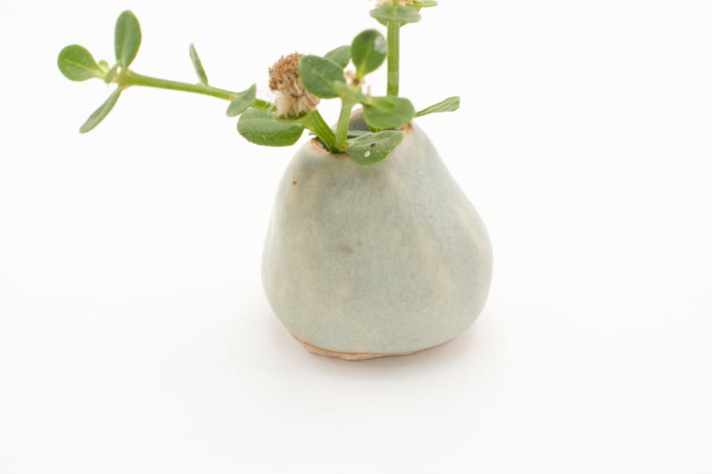 Image of pistachio bud vase (tiny)