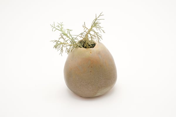 Image of seaweed bud vase (medium)