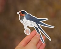 Image 2 of Sticker Hirondelle