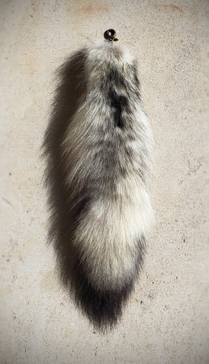 Image of Wolf Tail