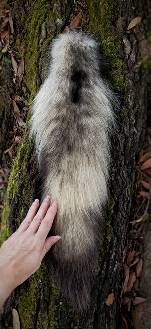 Image of Wolf Tail