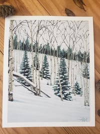 Image 5 of Botanical Art Prints