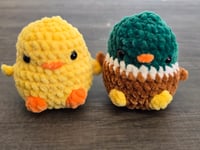 Ducks