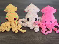 Large squid