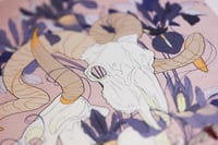 Image 2 of Nature morte - A4