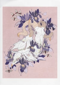 Image 1 of Nature morte - A4