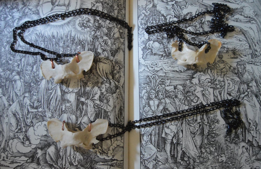 Image of Atlas Vertebra Necklace