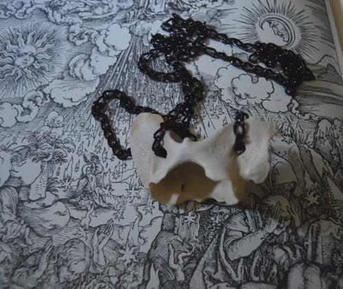 Image of Atlas Vertebra Necklace