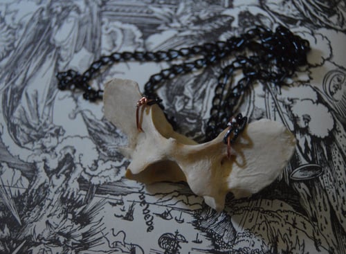 Image of Atlas Vertebra Necklace