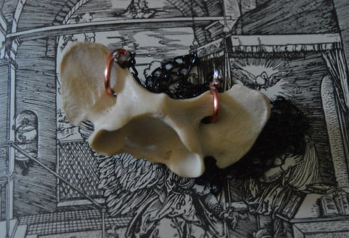 Image of Atlas Vertebra Necklace