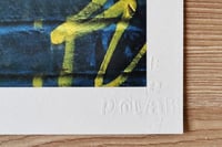 Image 2 of POLARBEAR - Don't make us history (tirage)