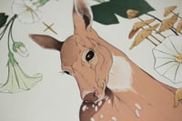 Image 2 of La Biche - A4