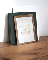 Image 3 of Papillon - A5