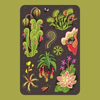 Vinyl Sticker Set: Carnivorous Plants