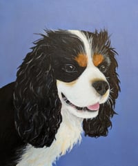 Pet Portrait - Dog
