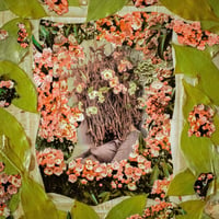 Image 1 of OAHK “Tiny Husks” Vinyl