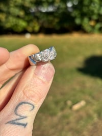 Image 1 of Organic ring 1