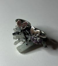 Image 1 of Wu bolt rings 