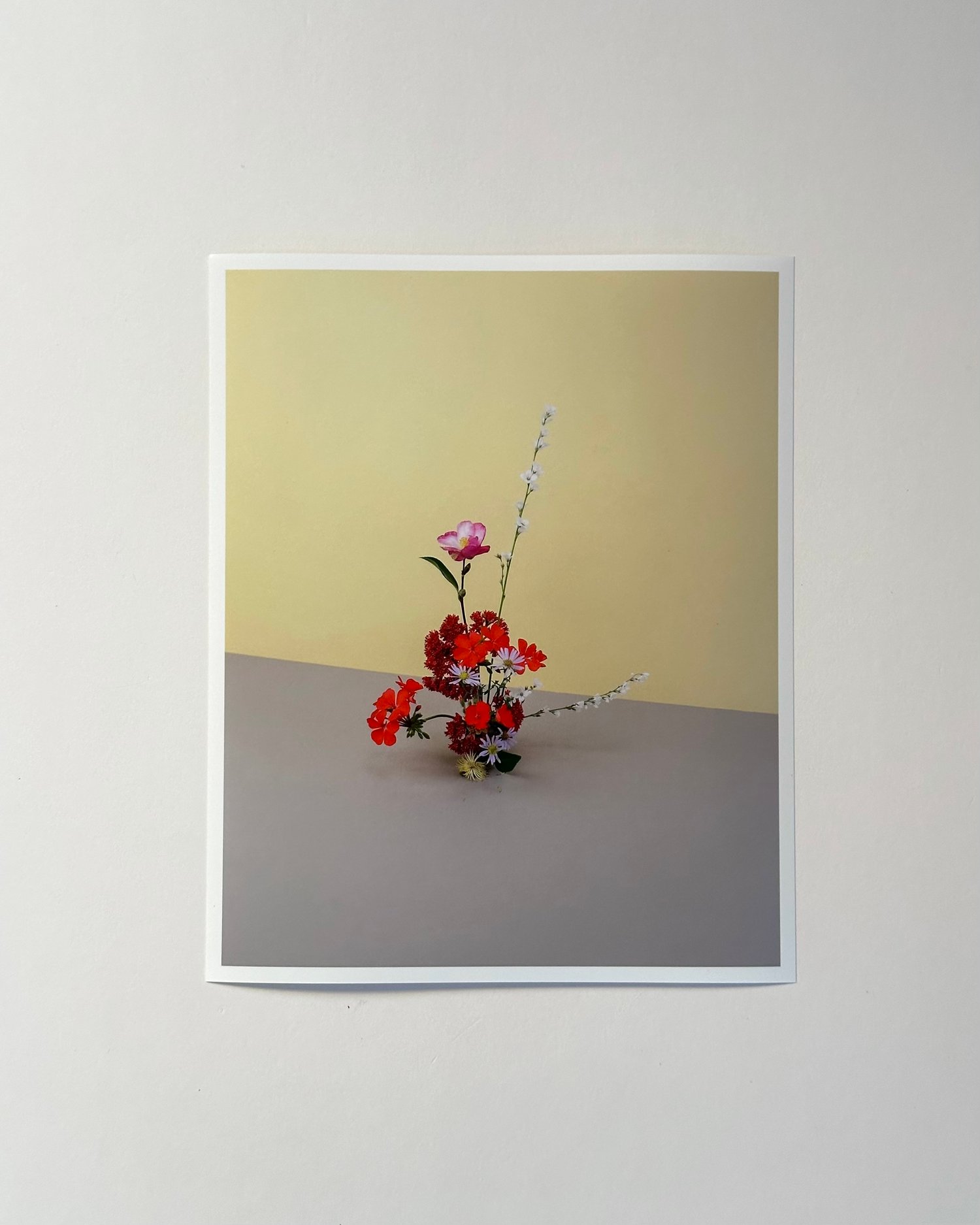 spring (one copy)