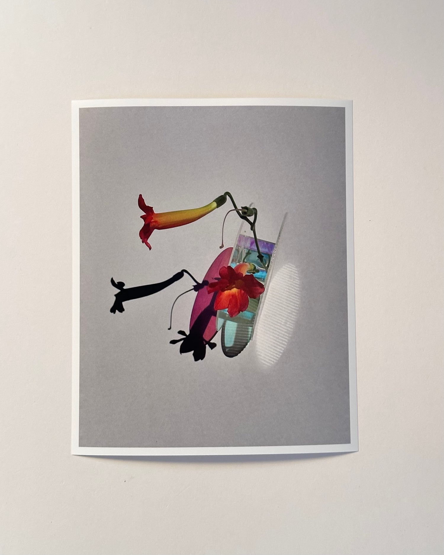 sombras print (one copy)