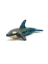 Image 1 of Wave Orca