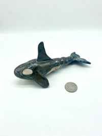 Image 2 of Twisted Orca
