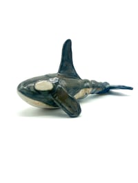 Image 1 of Twisted Orca
