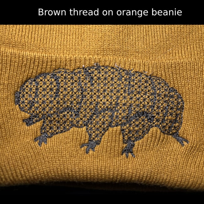 Tardigrade Beanie