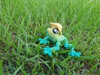 Image 5 of Mushroom Frogs