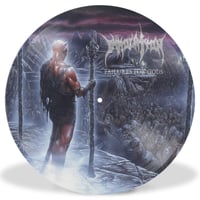 Image 3 of IMMOLATION - Failures for Gods 12" PIC LP (LIMITED EDITION)
