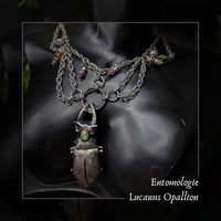 Image 1 of ☽ Lucanus Opallion ☾