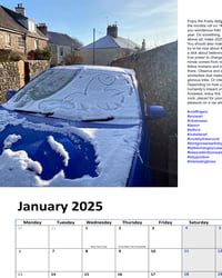 Crudely drawn Cock Calendar 2025