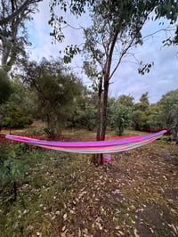 Image 5 of Sandynite  Hammock v1 - Pink/Grey