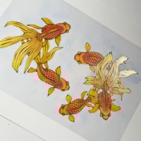 Image 3 of Print of five fantailed fancy fish 