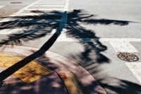 Image 1 of South Florida