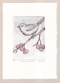 Little Bird on a Winter Branch (Small Prints SALE)