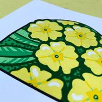 Image 4 of P-RIMROSE
