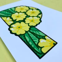 Image 3 of P-RIMROSE
