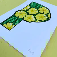 Image 5 of P-RIMROSE